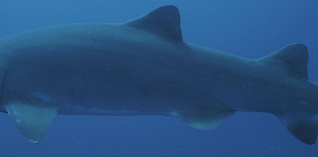 9550c94a-998e-46e2-990c-3d1e62f88c40