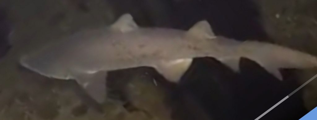 a7623a81-7346-4b62-8a34-555946cf0f7b