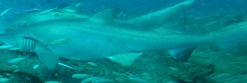 bb86cdb1-1222-402d-b6e8-b5ee4eed2d0d