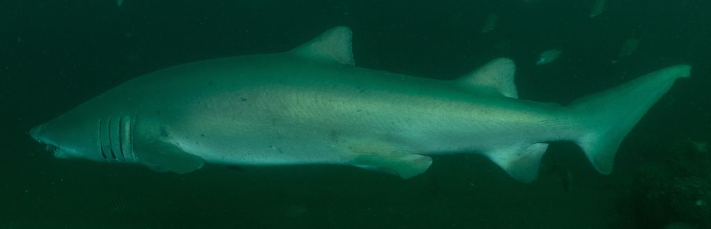 5e5d5a32-7a30-4f32-a11b-b7356042b13a