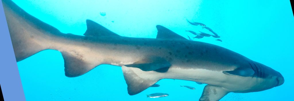 4d4a902f-3b6f-4e14-9dea-4b4c486977f9