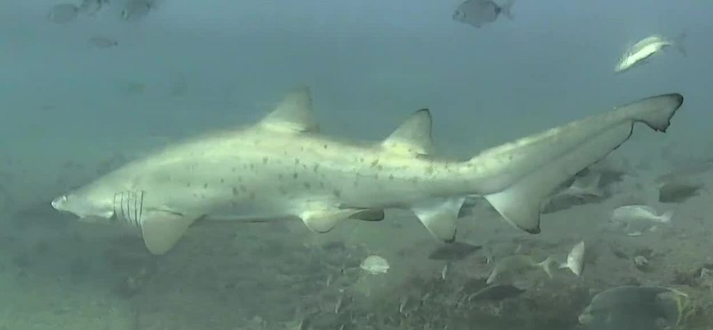 fece9838-ce4d-410c-97e6-b6f8e4af9de0