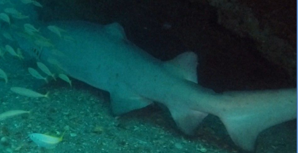 2b6d0ee2-7c29-4c33-abde-440fe637fc72