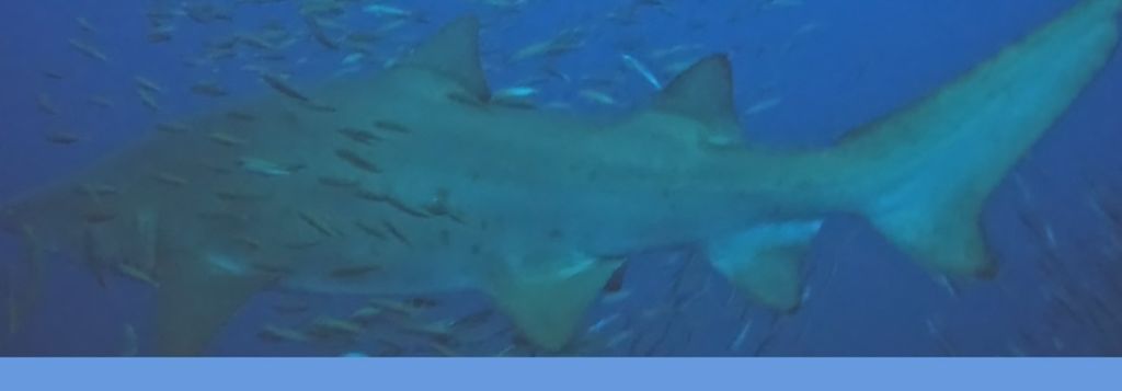 74d53ed4-b400-4a61-9d0a-85c796063cd3