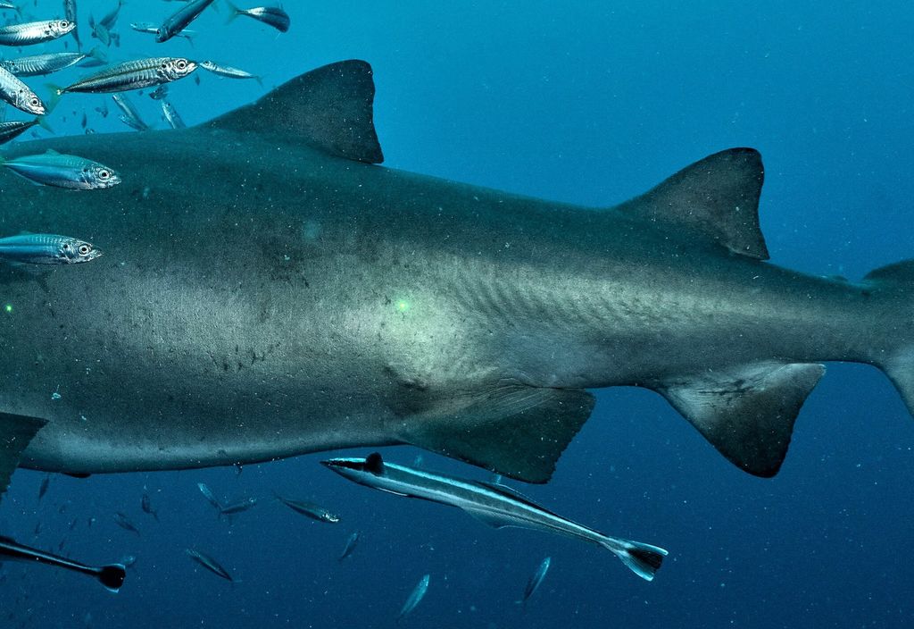 f3fbda0e-27e5-420b-8af8-e7adbac8c942