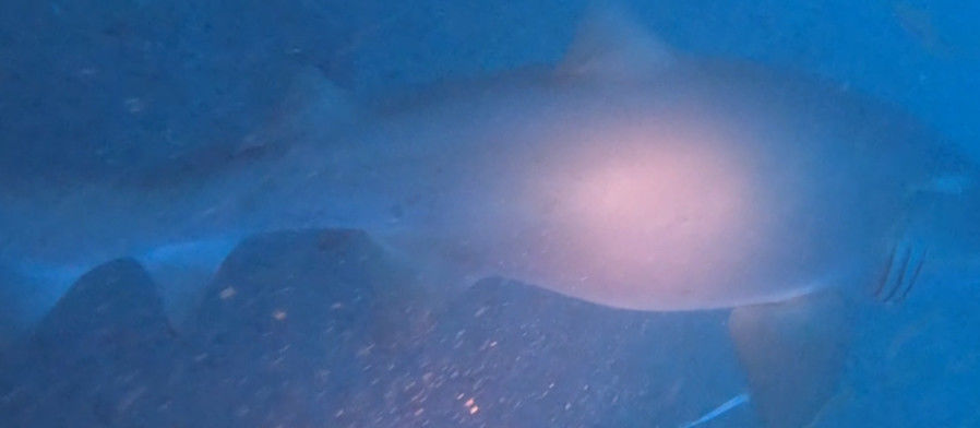 750d38ec-2289-4371-bb81-d3be2549b9dc