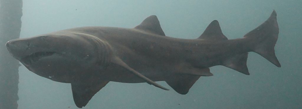 3f02e93e-480e-4c59-ace2-3316fda21c19