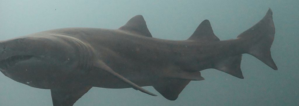 3f02e93e-480e-4c59-ace2-3316fda21c19