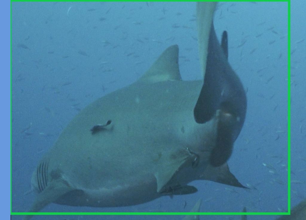 e2438785-b4fb-4f5a-ae02-9063da873bed