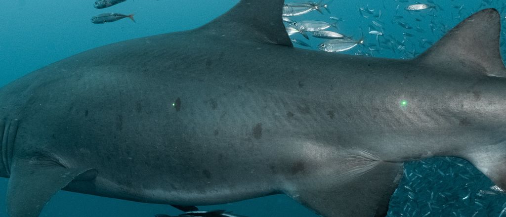 e61a3701-ab76-4b0f-a715-1c12fcb47ab0