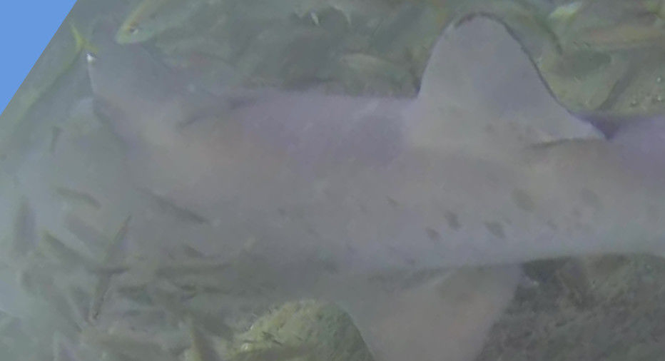 4a11a1e7-6561-49de-9fbf-95011026923c