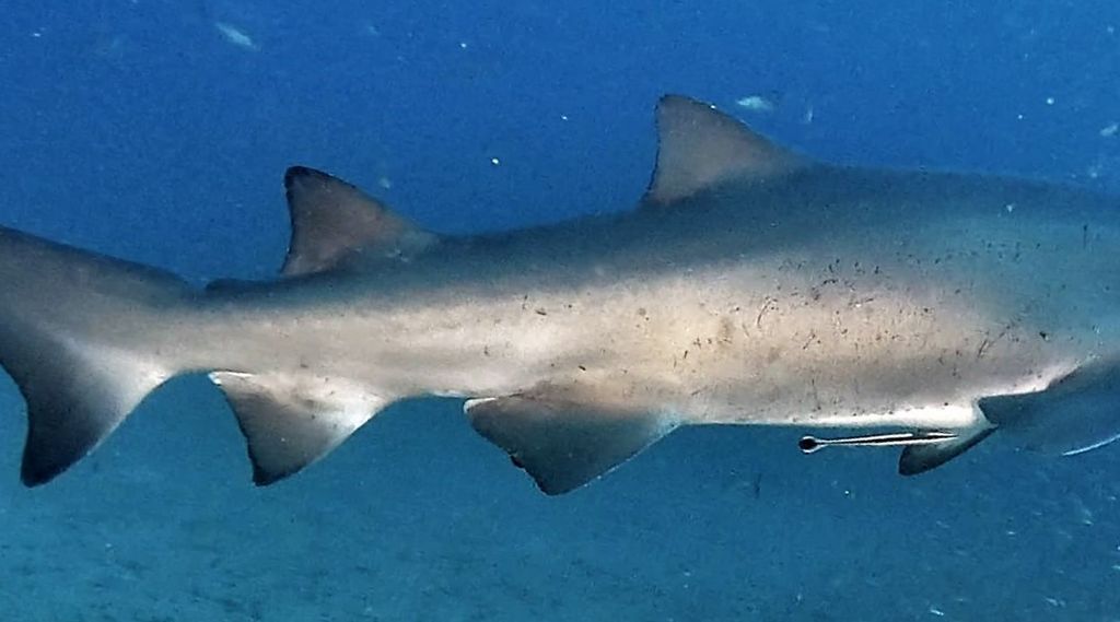 7feb0c3a-c77b-47a8-ac3e-dcc7449b42f6