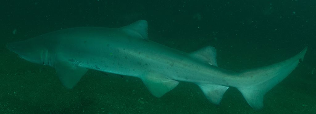 564a8bf1-a339-48b0-a342-1165a8ca4c93