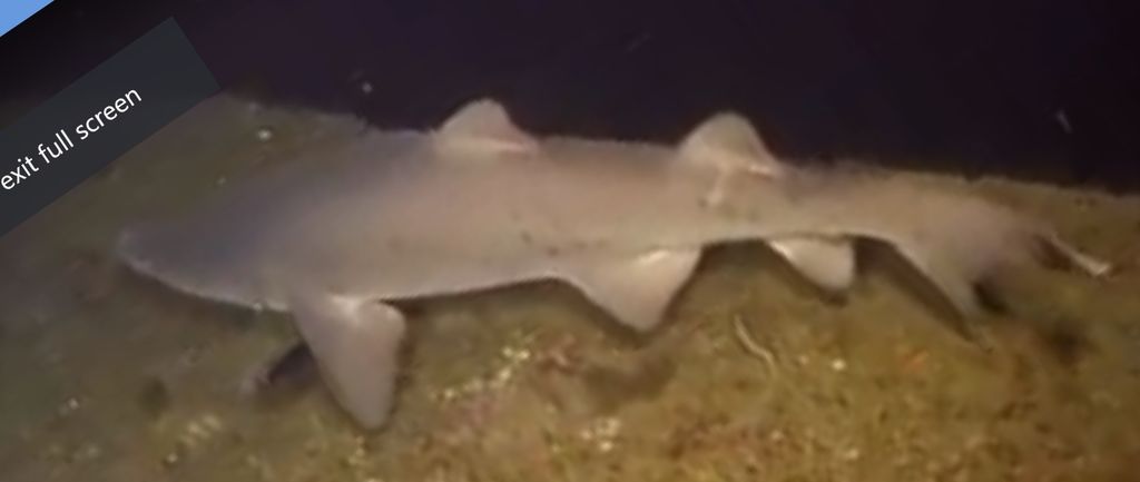 6029b923-0a66-4301-9379-82c39cf0d72e