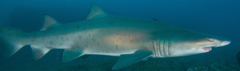 71251464-b7bf-41bf-853d-82fe5f106f41