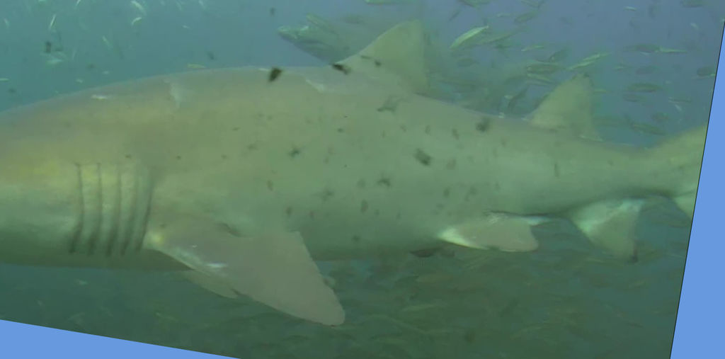 5ec2563b-9eec-48eb-afe7-dabeee20e7cf