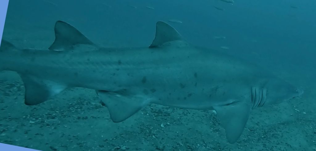 a01af58c-8135-4b4a-9531-82b9c51d5741