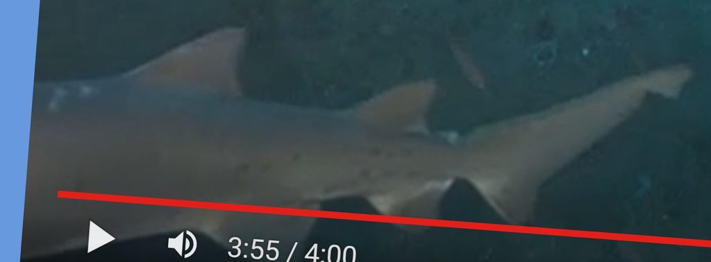 ec989a64-a0cb-478d-93db-285ab66e6b52