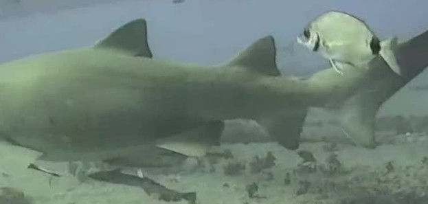 93011436-fb7d-4c9e-8e15-c5a73504627a