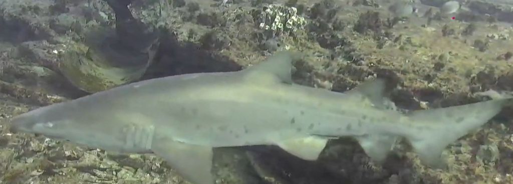 c46808a6-496c-41f8-9a3e-a0853b196997