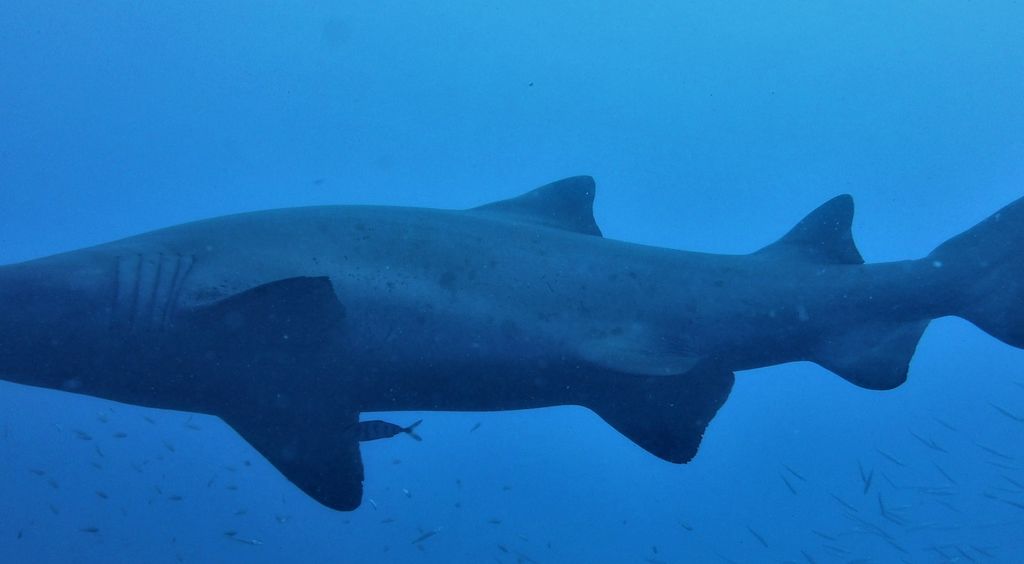 2383529b-79e8-4d53-bb9f-982d7e1456b0