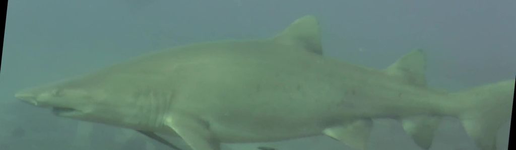 7a172a5e-6333-4f1a-930e-add51c1499f9