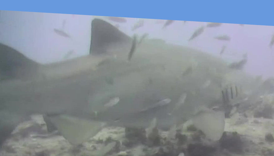 b7c4b156-56f5-49d4-9692-4237985f4750