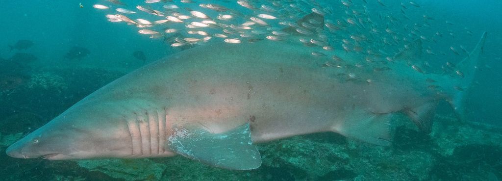 2d3f4689-b62d-45a0-a643-957009556e9f