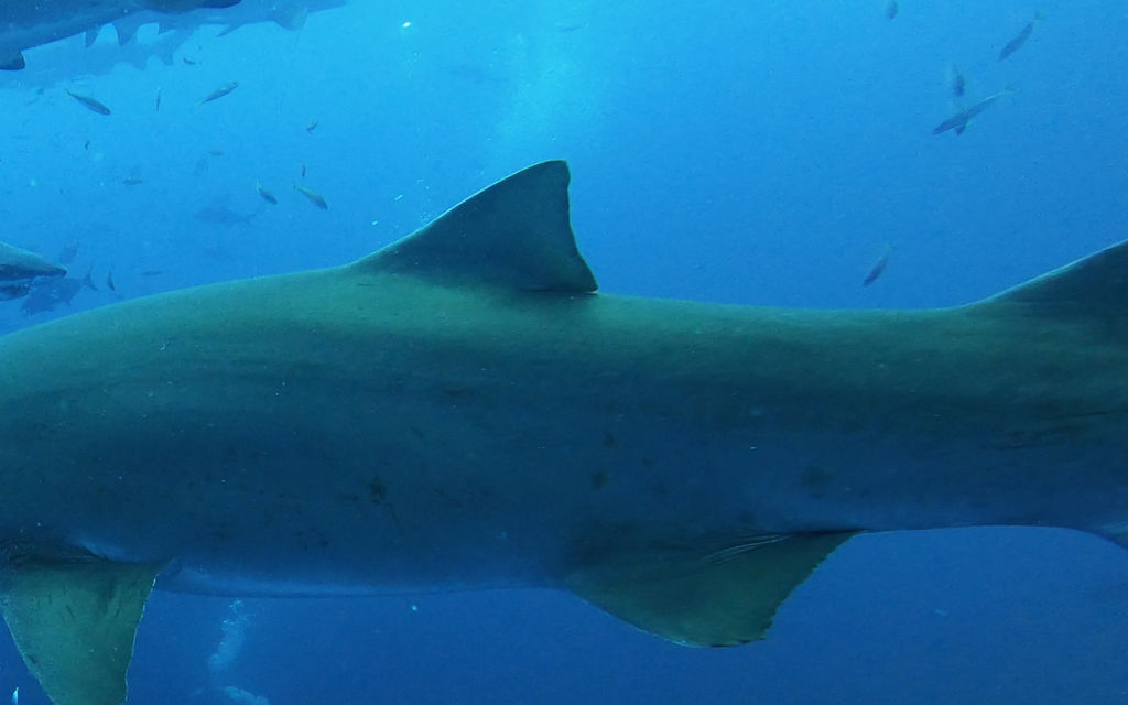 bf02d391-c35e-4c07-bb13-d7641bc23493