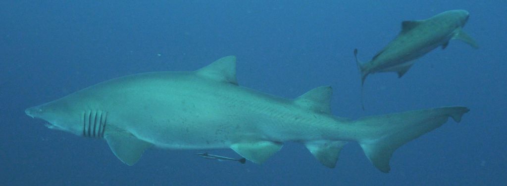 cdd522d8-86ee-4353-8360-ede41b5af201