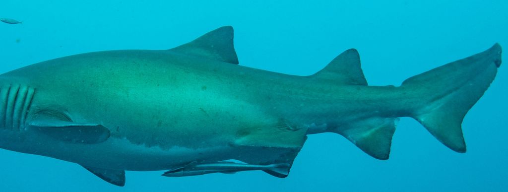 a84f9755-8403-4be9-abea-2c2680e36015