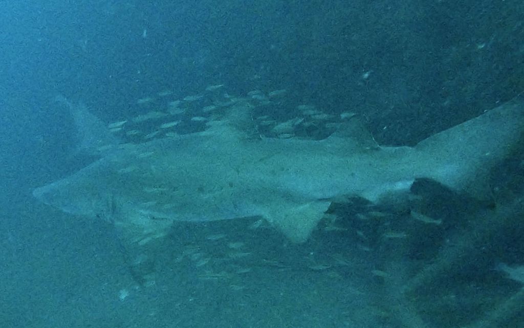 88492a2d-35b3-485f-90f0-1778a739d805