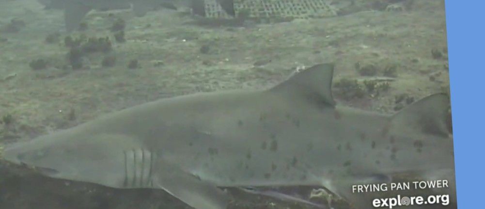 488b4847-d3c2-47c3-b21e-99b2fa4e865c