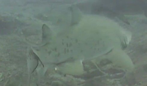 488b4847-d3c2-47c3-b21e-99b2fa4e865c