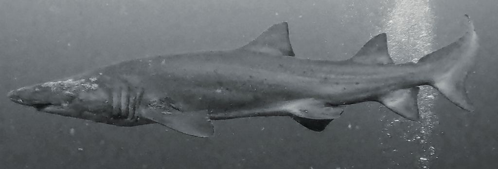 c0cdbe2d-3066-4d44-85e0-b88f8d06af34