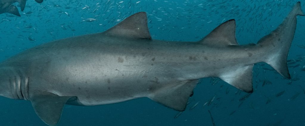 a7e9156b-dd85-44dd-a37b-5ac090d11ae8