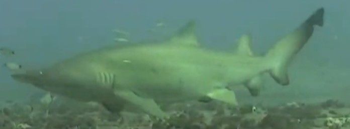 fb827101-3081-4050-82fa-e4fa119e3338