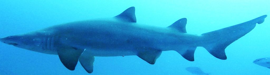 652ce8d1-7325-48dd-bc34-f603378f76a2