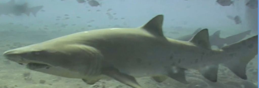 68eabb0f-38d0-4c6c-a115-06552c65067c