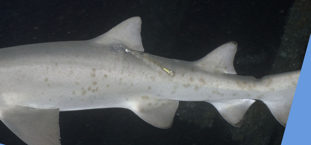 8a91e851-410c-4b6e-acc1-f4666b8d9a0b