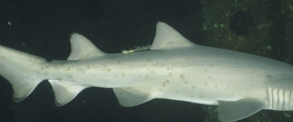 8a91e851-410c-4b6e-acc1-f4666b8d9a0b