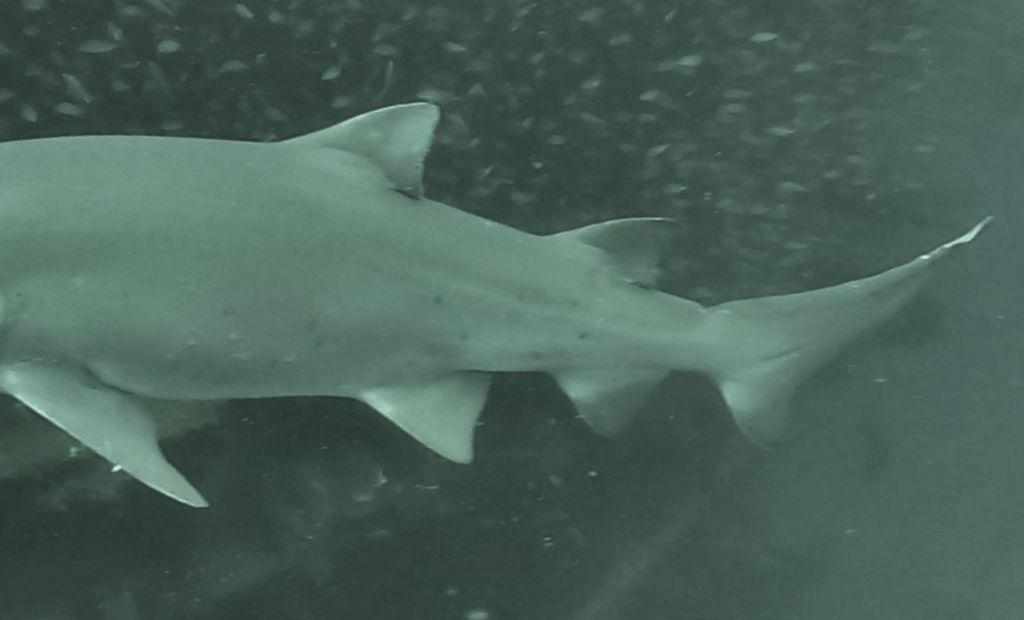 a44a9614-646e-4950-92c6-20153025cad3