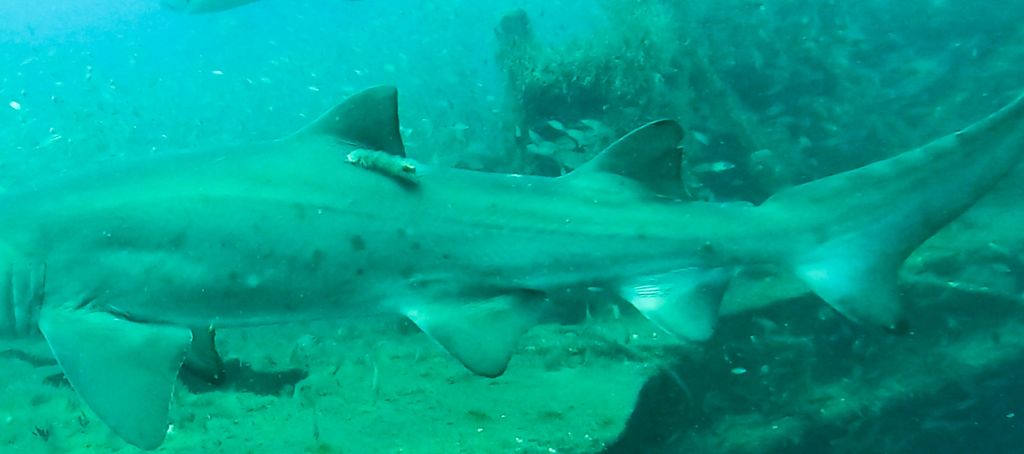 5123b9f5-a2e4-48c2-977c-ed7f6575be0c