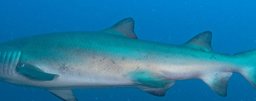 455657f2-9b84-4789-aec3-c856b3af9324