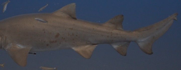 d48bc350-8c9b-4f6d-9458-64860ca63205