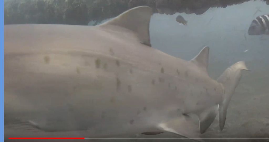 780906f1-6784-4b99-bdfa-0beeeae93293