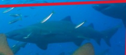 dd516542-b5ab-4e48-be8b-f944b1bcec37