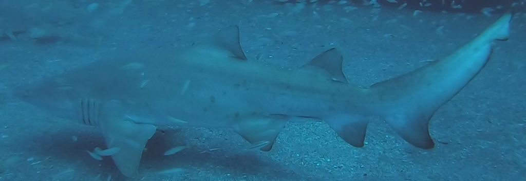 78c9dd04-4d9e-4117-a9f6-e8ca2fba88d4