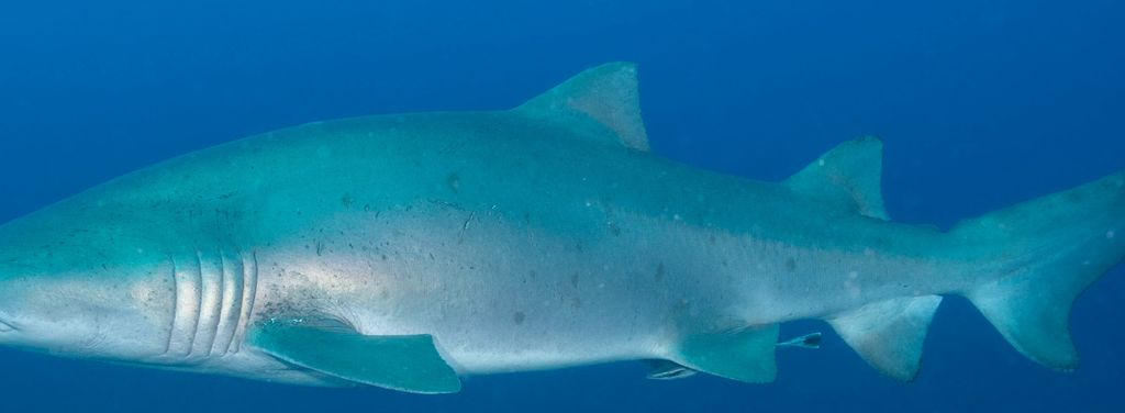 f41edeb4-cb49-4bfe-a8ff-3bf9e19bcc35