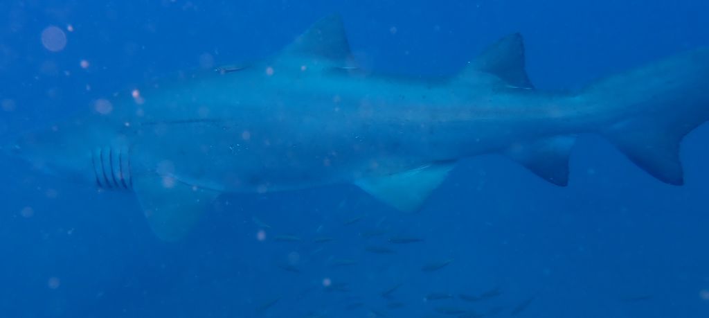 b333619f-2ba7-4cd3-acff-bc15da45975d